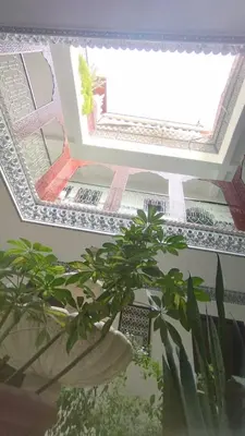 an overhead view of a house with a plant at marrakesh riad in Marrakech