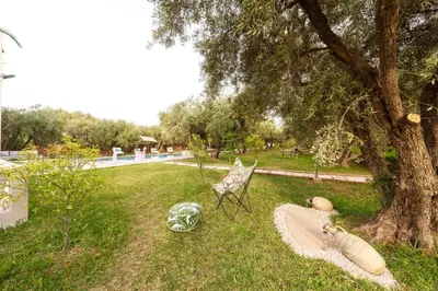 a yard with a tree with two cats laying on the grass at Villa Souad 5 Suites - Parking & Piscine Privée in Marrakech