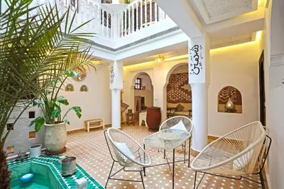 a living room with chairs and a table and a plant at Riad El Khir en centre ville rooftop et bassin in Marrakech