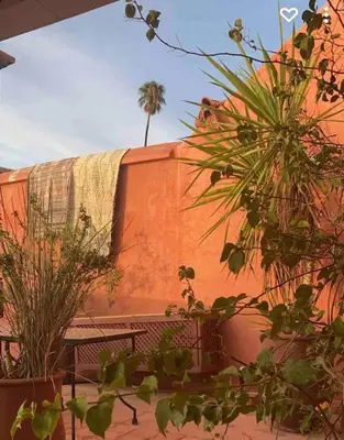 an orange wall with a bench and palm trees at RIAD ALGHANI in Marrakech