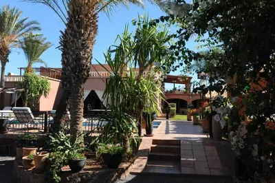 a walkway with palm trees and plants in front of a building at GREEN HOUSE in Marrakech