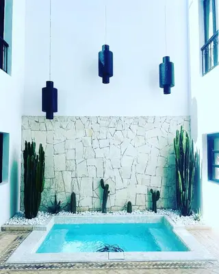 a swimming pool in a room with cactus at Riad Belharra in Marrakech