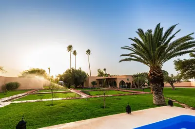 a palm tree in the middle of a park at Villa Warhol Marrakech in Marrakech