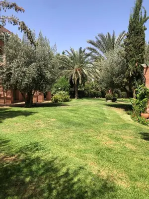 a large yard with trees and grass at Palmeraie Village 2 - Cosi appartement en Rez de Jardin in Marrakech