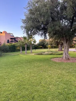 a park with a tree in the middle of a field at Palm View in Marrakech
