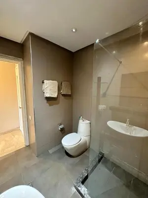 a bathroom with a toilet and a sink at studio avec terasse carre eden iptv wifi in Marrakech