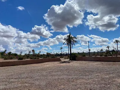 a dirt road with a palm tree and a cloudy sky at palmeraie village 2 in Marrakech