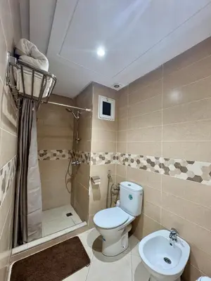 a bathroom with a toilet and a shower and a sink at Charmant Appartement au Cœur de la Ville in Marrakech