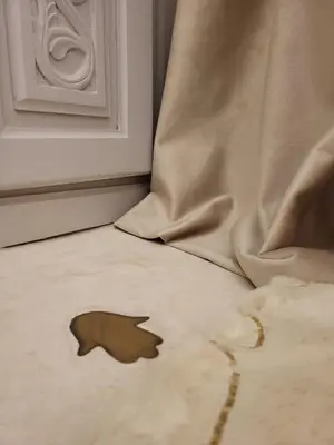 a leaf on the floor in front of a curtain at Riad LallaBaya in Marrakech