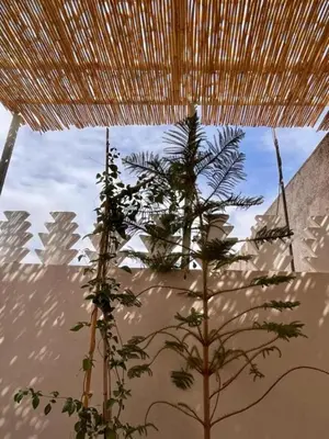 a plant is growing under a straw umbrella at Riad M17 & Spa - Médina in Marrakech