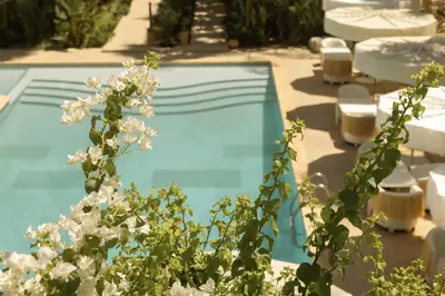 a swimming pool with white flowers in front of it at Les Palmiers Boutique Hôtel & Spa in Marrakech