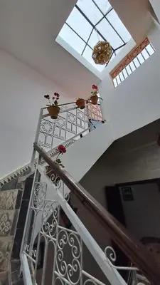 a staircase with two potted plants and a window at Riad Anisse in Marrakech