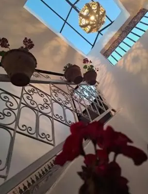 a room with potted plants and a chandelier at Riad Anisse in Marrakech