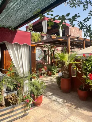 a bunch of potted plants in a building at Dar L'hna in Marrakech
