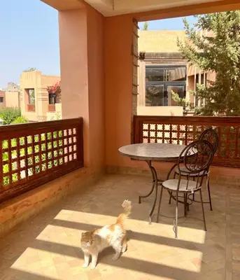 a cat walking on a porch with a table and chairs at Luminous apartment with pool view in Marrakech