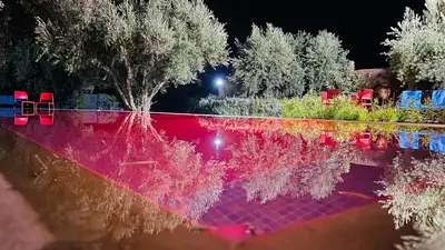 a reflection of a pool with chairs and trees at Le Domaine des Oliviers in Marrakech