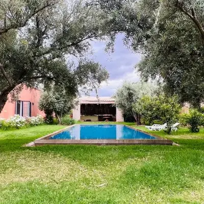 Le Domaine des Oliviers