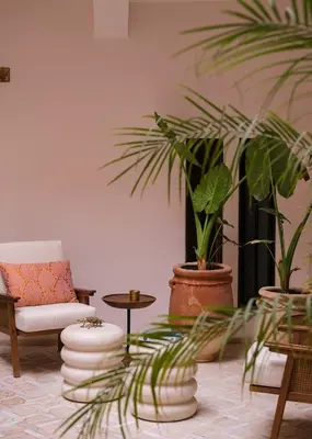 a living room with a chair and two potted plants at Riad Pompon in Marrakech