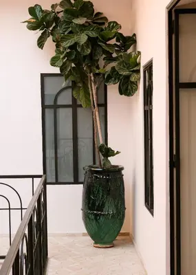 a green plant in a large green vase on a staircase at Riad Pompon in Marrakech