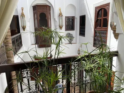 a courtyard of a house with plants and windows at Ryad Petit Palmier in Marrakech