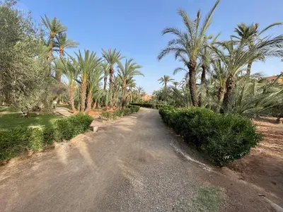 a road with palm trees on the side of it at Fabuleux appartement, rez de jardin au sein de la palmeraie in Marrakech