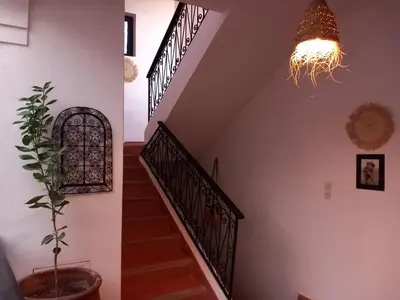 a staircase with a potted plant and a light fixture at Riad Hostel JAD ZIAD in Marrakech