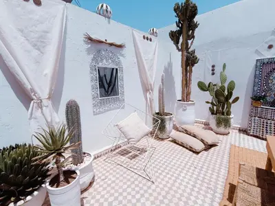 a room with cacti and chairs and plants in it at STUDIO BLANCO MÉDINA AVEC TERRASSE in Marrakech