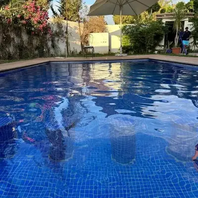 Paradise house