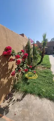 a garden with pink flowers on the side of a sidewalk at city garden Kech in Marrakech