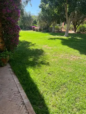 a shadow of a tree on a field of grass at Au cœur de la palmeraie de Marrakech in Marrakech