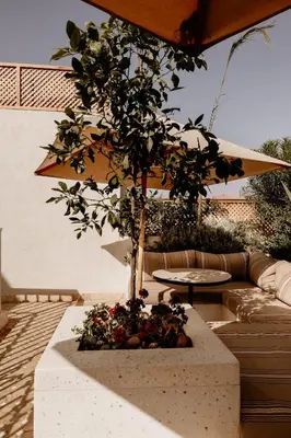 a potted tree in a concrete planter on a patio at Riad K-white in Marrakech