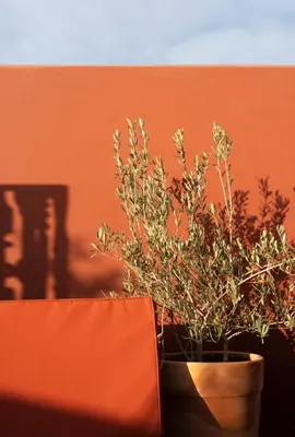 a plant in a pot next to an orange wall at Riad Al Uzza in Marrakech