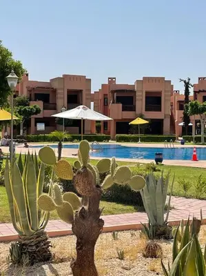 a group of cactuses in front of a pool at Merveilleuse Marrakech! in Marrakech