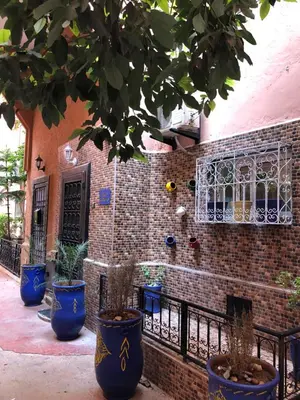 a group of blue potted plants in front of a brick wall at Riad Ramona lQariya seyaheya in Marrakech