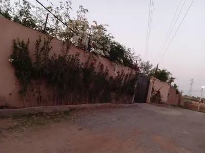 a wall with plants on the side of it at Private Villa with private Chef optional in Marrakech