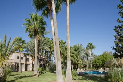 a resort with palm trees and a swimming pool at Maggy Rose in Marrakech