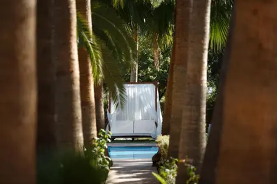 a white chair sitting under palm trees next to a pool at Maggy Rose in Marrakech
