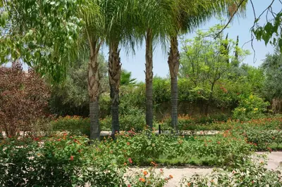 a garden with palm trees and flowers at Villa Jennabelle in Marrakech