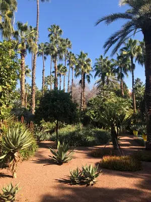 a garden with palm trees and plants at Appartement paisible et abordable Palmeraie Marrakech in Dar Caïd Layadi