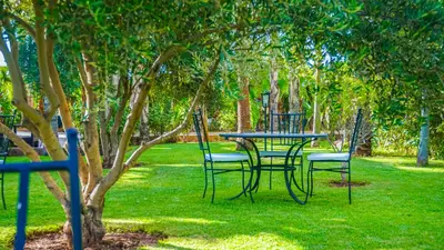 a table and chairs sitting under a tree at Luxury heated pool Villa Marrakech in Marrakech