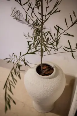 a white vase with a plant in it at Cosy Riad in Marrakech