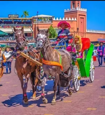a woman riding in a horse drawn carriage at Marrakech Prestigia Golf City - beauty Appartement in Marrakech