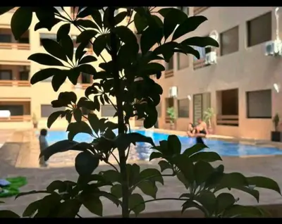a plant in front of a building with a pool at Appartement gueliz 30 in Marrakech