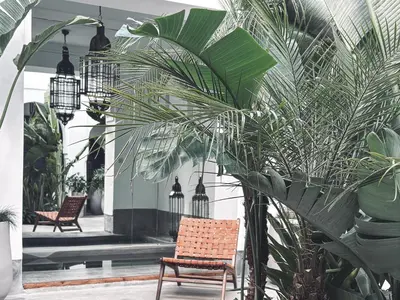 a chair and palm trees in a courtyard at Riad Atay in Marrakech