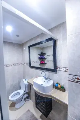 a bathroom with a toilet and a sink and a mirror at Riad Errabii & Spa in Marrakech