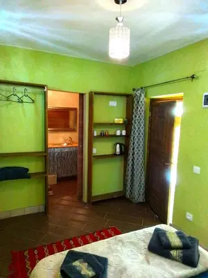 a bedroom with green walls and a bed in a room at Riad Bouganville Bleu in Marrakech