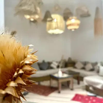 Riad DarDamia