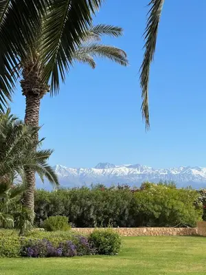 a palm tree in a park with mountains in the background at Villa Maria, Luxury Marrakech in Marrakech