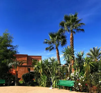 two palm trees and a green bench on a beach at Cozy apartment with roof top in Marrakech