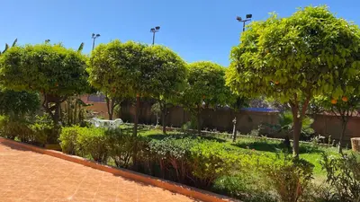 a garden with trees and bushes and a brick sidewalk at Auberge de Jeunesse Marrakech-Asni in Marrakech